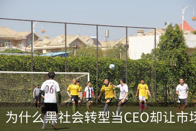 为什么黑社会转型当CEO却让市场更乱了