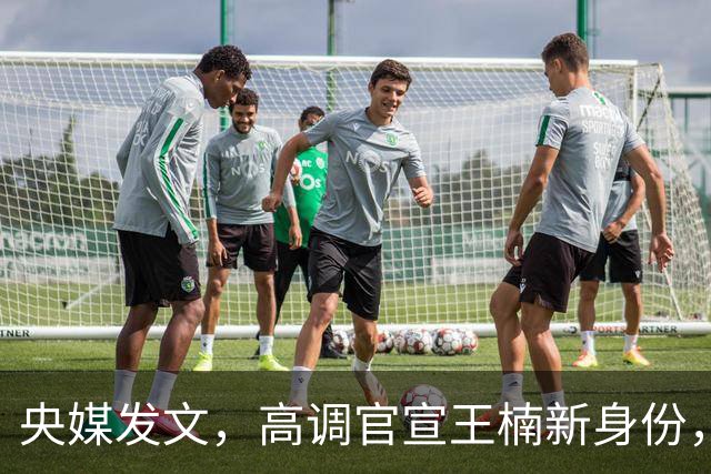 央媒发文，高调官宣王楠新身份，资产查封被带走调查传闻早有答案