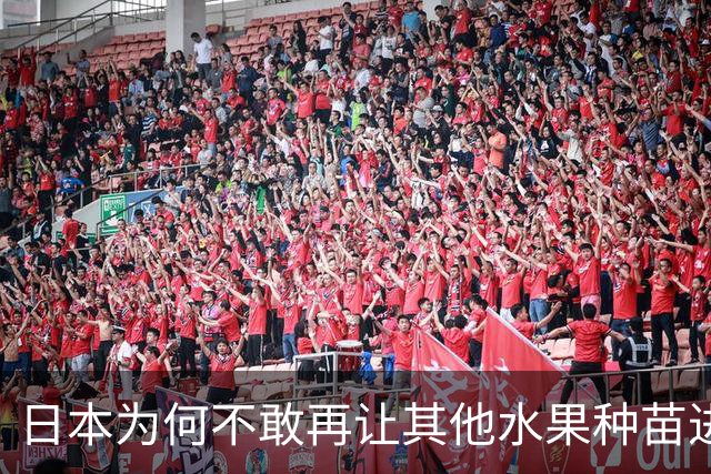 日本为何不敢再让其他水果种苗进入中国？别以为只是贸易摩擦。日本不愿放水果进中国，是因为被“偷家”偷怕了