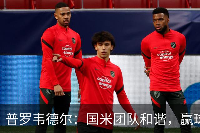 普罗韦德尔：国米团队和谐，赢球靠努力