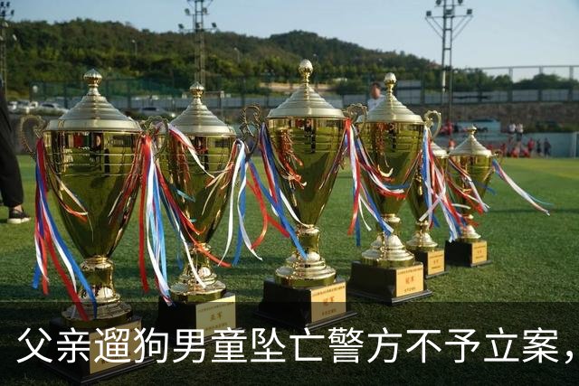 父亲遛狗男童坠亡警方不予立案，母亲最新发声