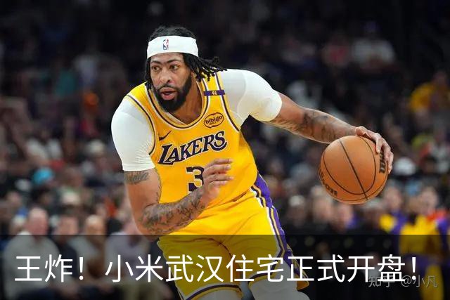 王炸！小米武汉住宅正式开盘！
