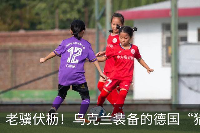 老骥伏枥！乌克兰装备的德国“猎豹”防空系统6战6捷，接连击落喷气动力无人机