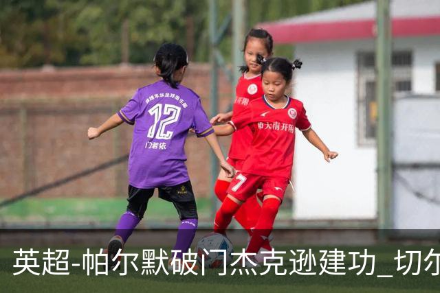 英超-帕尔默破门杰克逊建功 切尔西2-1纽卡斯尔